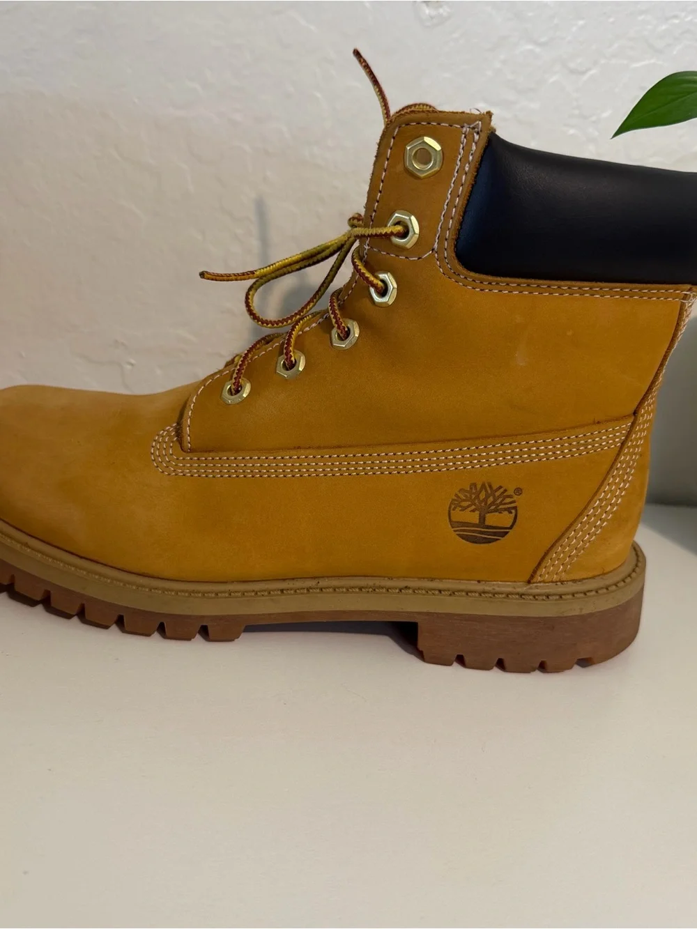 Timberland Shoes 6 Inch Premium Juniors Wheat/Brown Boots Women’s 8 (Men’s 6.5)
